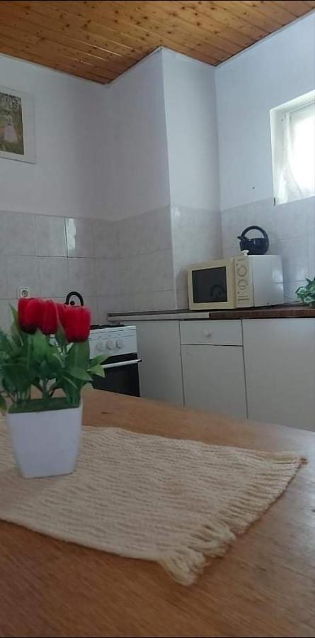 Visszavar-Lak Privat Berlemeny Badacsonytomaj Exteriör bild